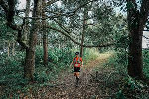 BIB: 
                            <button type="button" onclick="openModal(25662659)" class="btn btn-primary btn-sm float-right btn-popup" data-toggle="modal" data-target=".modal-high-quality">
                        <i class="fas fa-shopping-cart"></i> Add to Cart
                    </button>
                                            <button type="button" onclick="isThisMe(25662659, true)" class="btn btn-success btn-sm float-right btn-popup btn-isme hidden" data-toggle="tooltip" data-placement="bottom" title="นี่คือรูปของคุณใช่ไหม คลิกที่นี่เพื่อเอาเข้าอัลบั้ม">
                        <i class="fas fa-plus"></i> Add to album
                    </button>
                    <button type="button" onclick="isThisMe(25662659, false)" class="btn btn-warning btn-sm float-right btn-popup btn-isnotme hidden">
                        <i class="fas fa-ban"></i> Remove from album
                    </button>